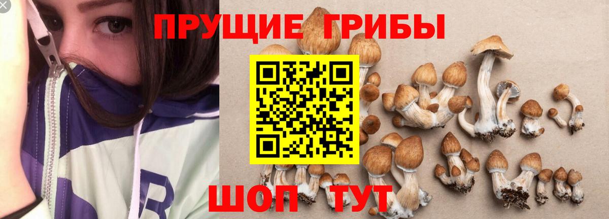 Псилоцибиновые грибы мицелий  Вход с VPN  Строитель 